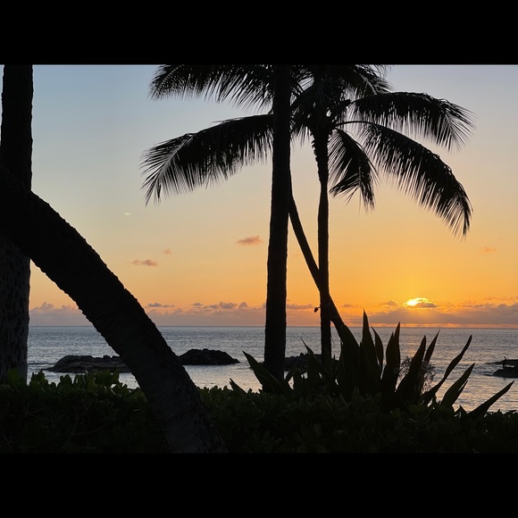 Meet your Posher, Randi - Picture 1 of 1